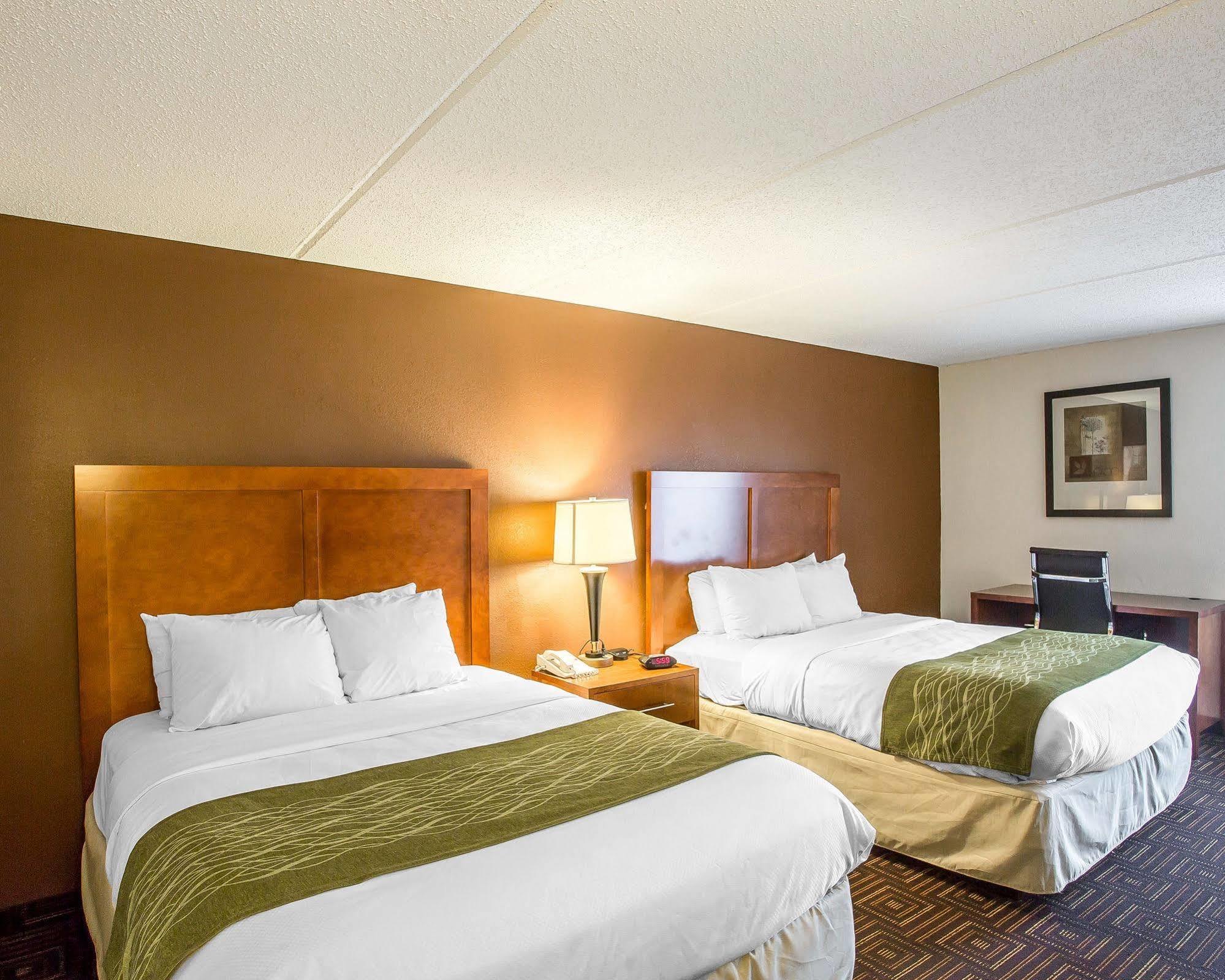 Comfort Inn Downtown Chattanooga Exterior foto